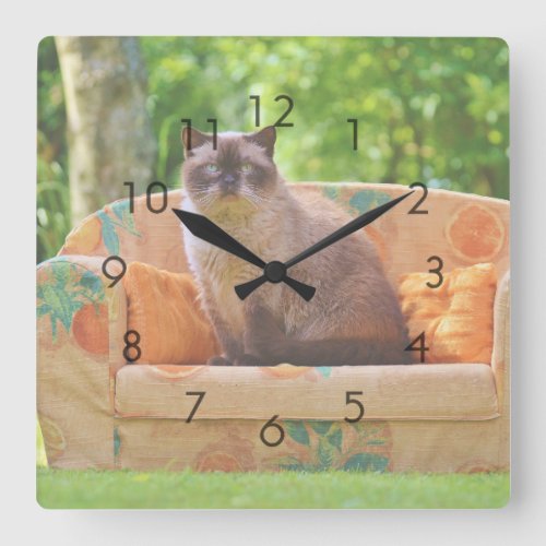 British Shorthair Cat on Orange Sofa Square Wall Clock