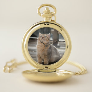 British shorthair, Cat, Pet Pocket Watch