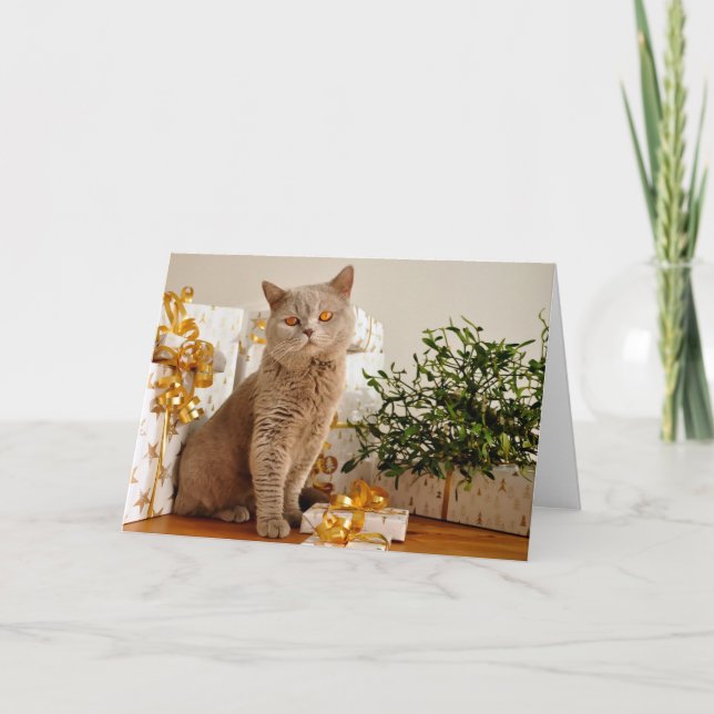British Shorthair Cat Purr-fect Holiday Season (Front)