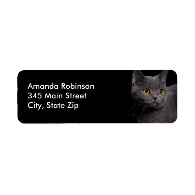 British Shorthair Cat Return Address Label (Front)