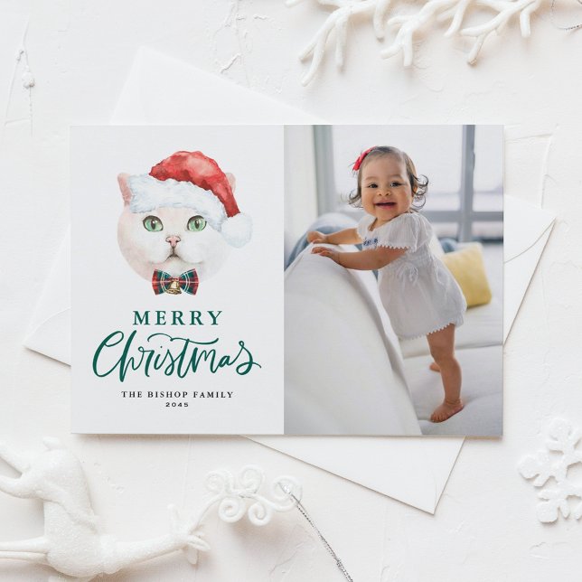 British Shorthair Cat Santa Green Photo Christmas Holiday Postcard (Creator Uploaded)