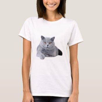 British Shorthair Cat T-shirt by petsArt at Zazzle
