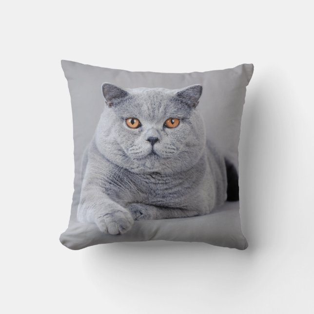 British shorthair cat throw pillow (Front)