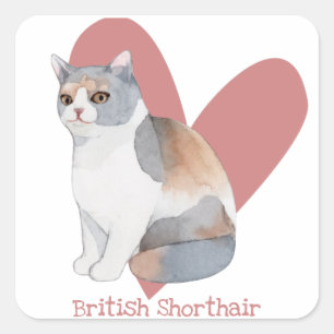 British Shorthair Cat Watercolor Kitty Pink Heart Square Sticker