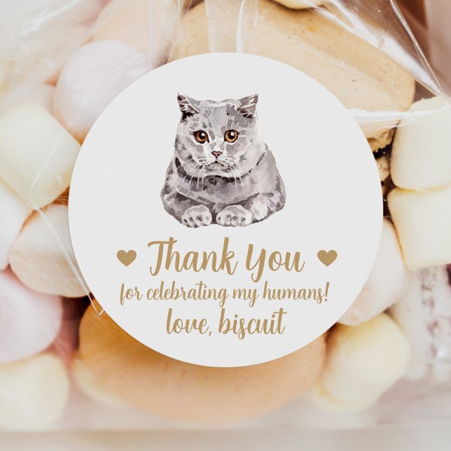 British Shorthair Cat Wedding Favor Stickers (Creator Uploaded)