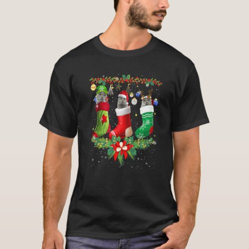 British Shorthair Cats In Christmas Sock Cat T-Shirt