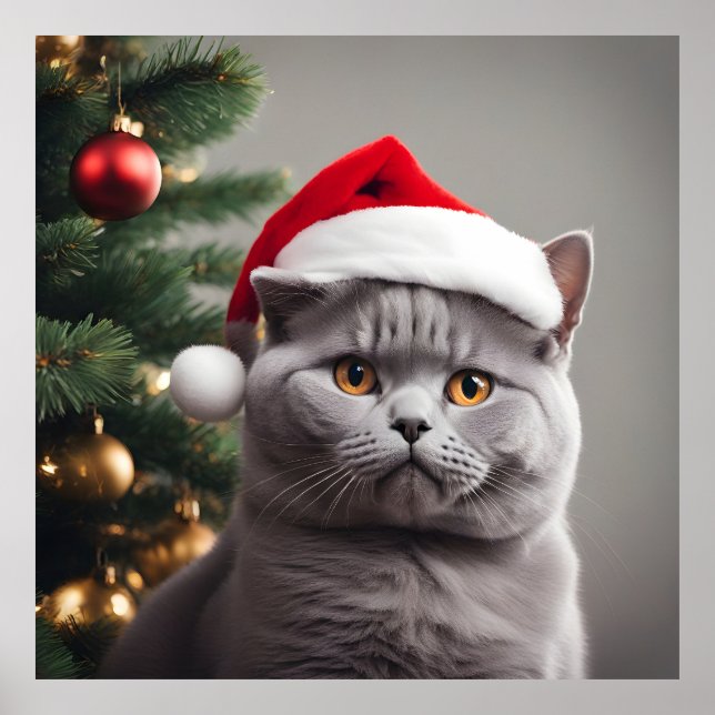 British Shorthair Christmas Poster (Front)
