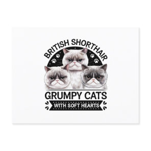 British Shorthair Grumpy Cats Postcard