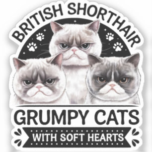 British Shorthair Grumpy Cats Sticker