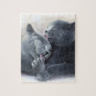British Shorthair Jigsaw Puzzle