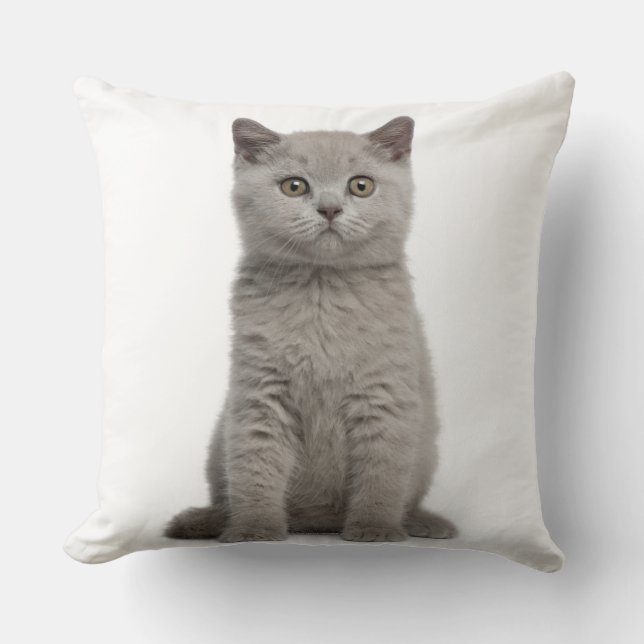British Shorthair Kitten (10 weeks old) 2 Throw Pillow (Front)