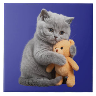 British Shorthair Kitten and Teddy Bear Decorative Ceramic Tile