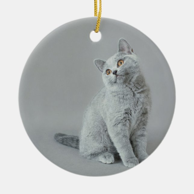 British shorthair kitten ceramic ornament (Front)