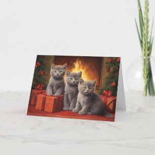 British shorthair kittens christmas card