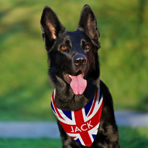 British Union Jack English flag custom dog name Pet Bandana Collar