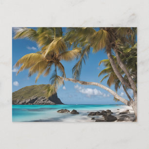 British Virgin Islands (8) Postcard