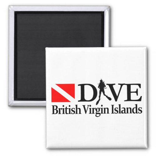 British Virgin Islands DV4 Magnet