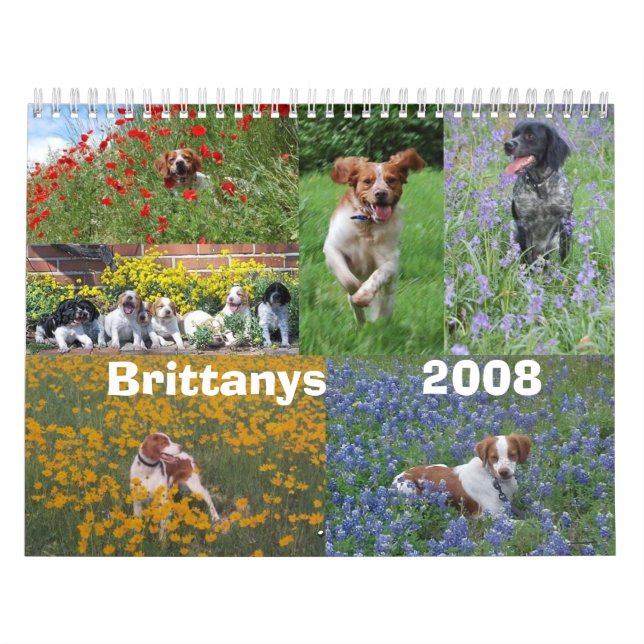 Brittany 2008 Calendar (Cover)