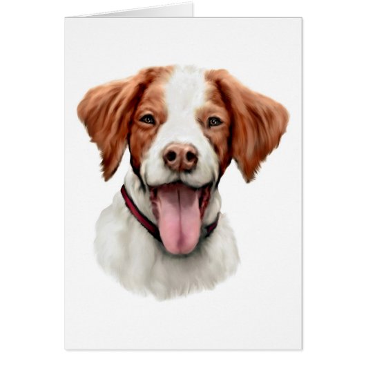 Brittany Bust Cards (Front)
