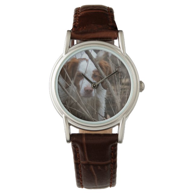 Brittany Classic Brown Leather Watch (Front)