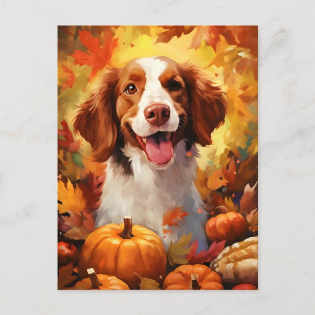 Brittany dog Autumn Thanksgiving  Postcard (Front)
