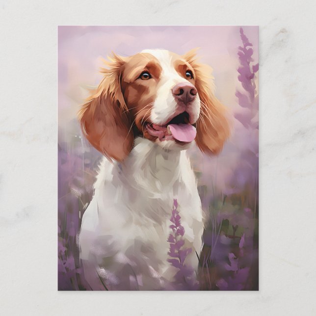 Brittany dog in Lavender field Postcard (Front)