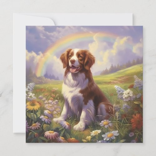 Brittany Dog Rainbow Bridge Custom Name Memorial