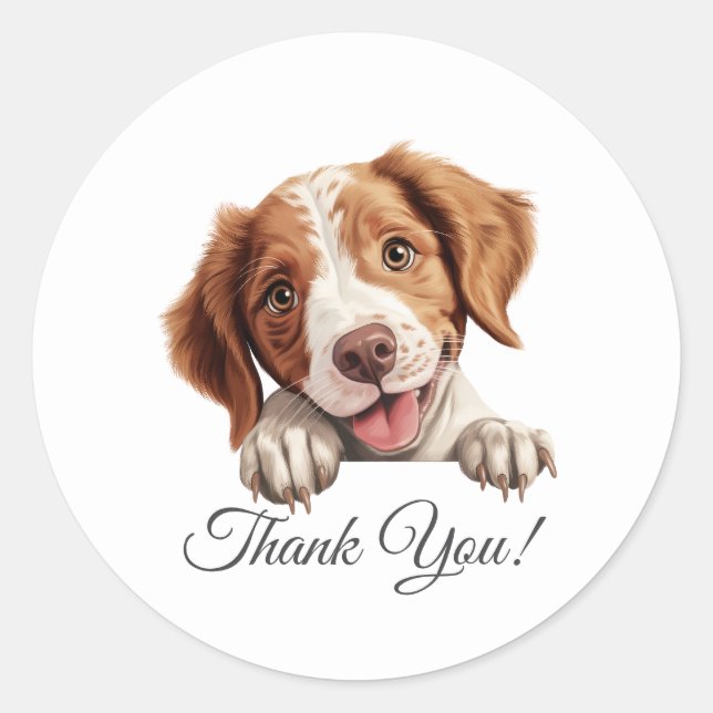 Brittany Dog Thank You Classic Round Sticker (Front)