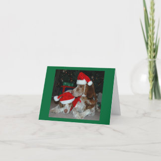 BRITTANY FAMILY HOLIDAY CARD