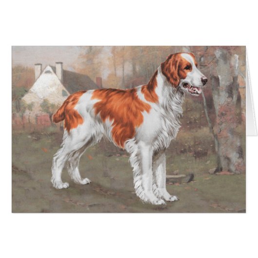 Brittany in the Field (Front Horizontal)