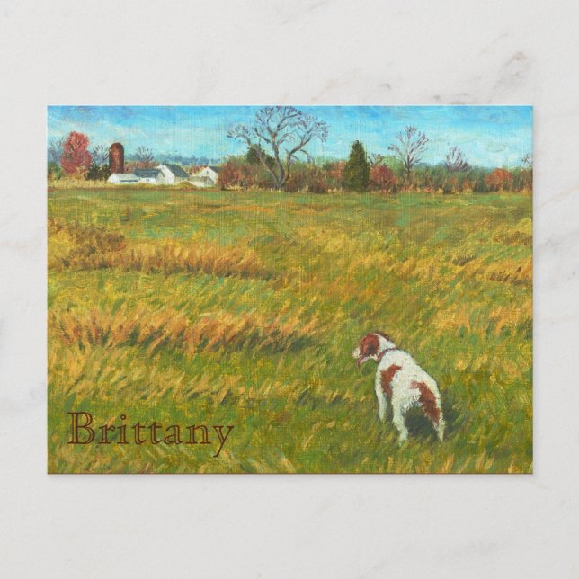 Brittany in the Field Postcard (Front)