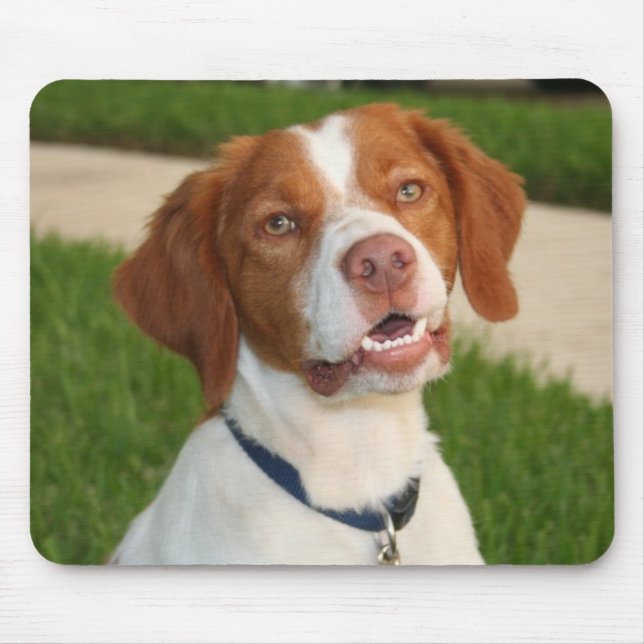Brittany Mouse Pad (Front)
