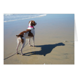 BRITTANY ON THE BEACH CARDS
