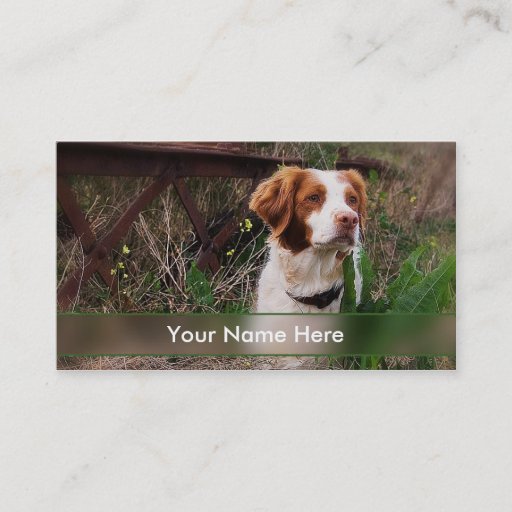 Customizable Brittany or Pet Industry Business Card