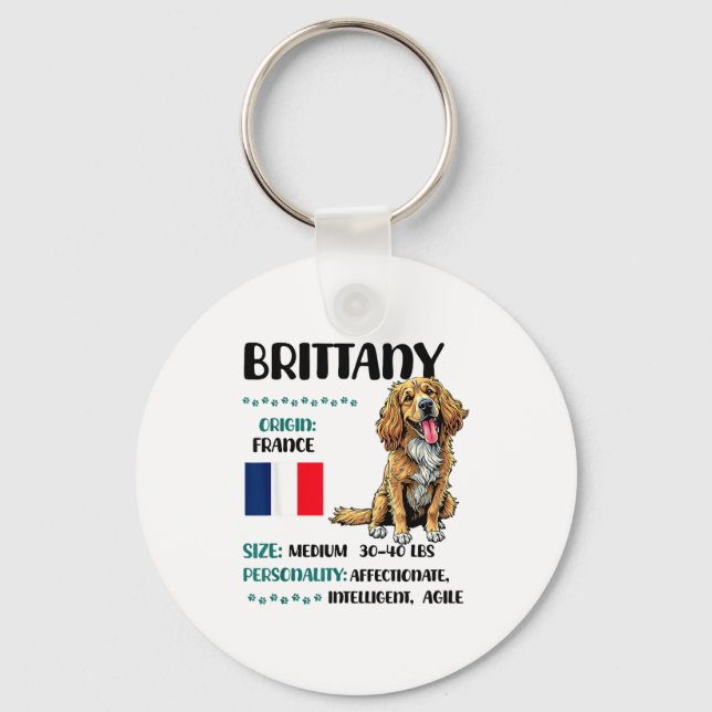 Brittany Origin Funny Brittany Dog Lover  Keychain (Front)