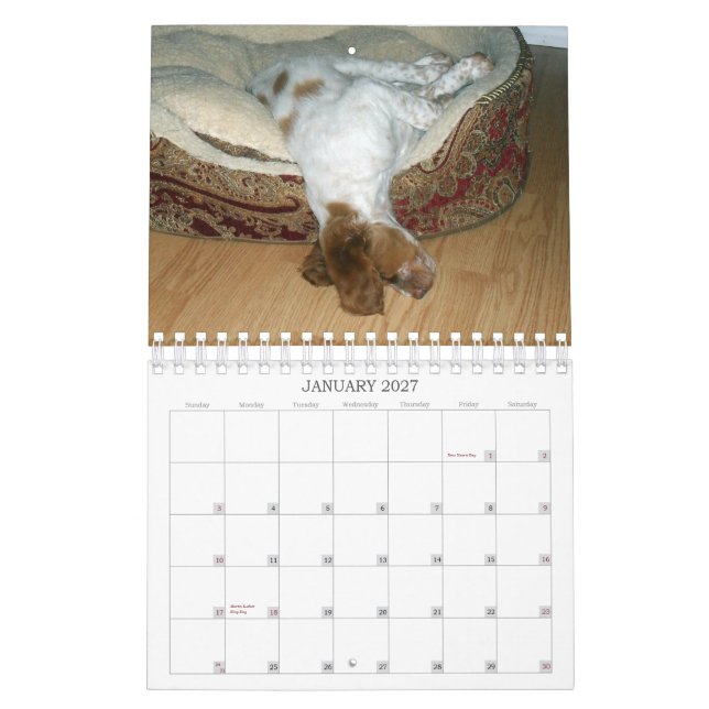 Brittany Puppies 2011 Calendar (Jan 2027)