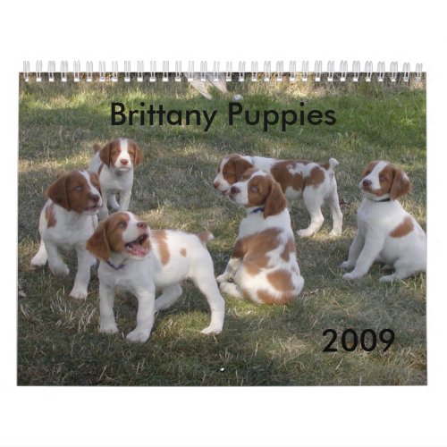 Brittany Puppies Calendar 2009