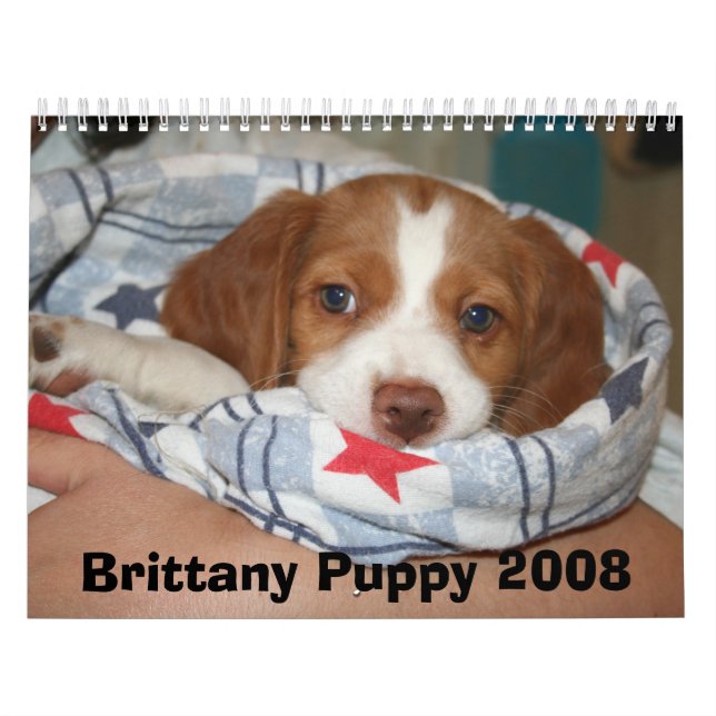Brittany Puppy Calendar 2008 (ALL RUSTY) (Cover)