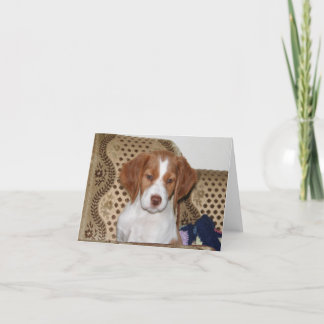 Brittany Puppy Notecard