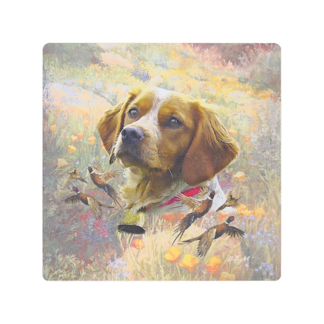 Brittany Spaniel Art , Pheasant hunting (Front)