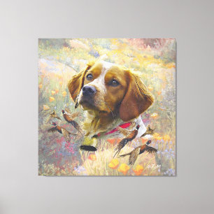 Brittany Spaniel Art , Pheasant hunting Canvas Print