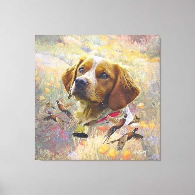 Brittany Spaniel Art , Pheasant hunting Canvas Print (Front)