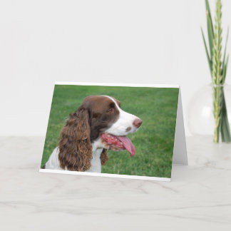 Brittany Spaniel Card