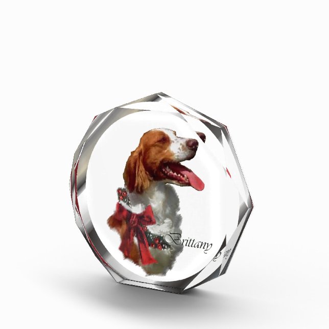 Brittany Spaniel Christmas Award (Right)