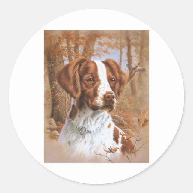 Brittany Spaniel Classic Round Sticker (Front)