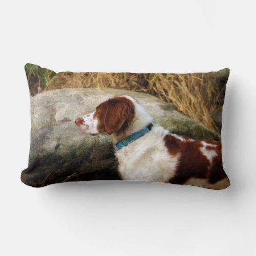 Brittany Spaniel _ Copper Lumbar Pillow