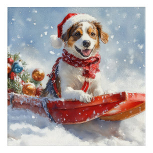 Brittany Spaniel Dog in Sledge Christmas Acrylic Print