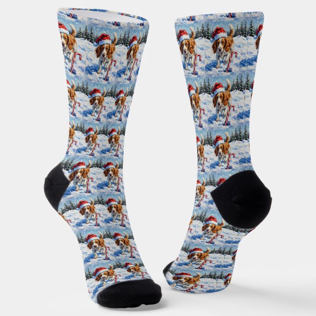 Brittany Spaniel Dog Pointing at Christmas Candy Socks (Angled)