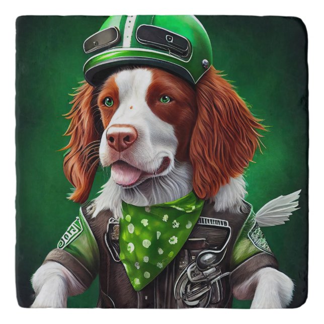 Brittany Spaniel driving bike St. Patrick's Day Trivet (Front)