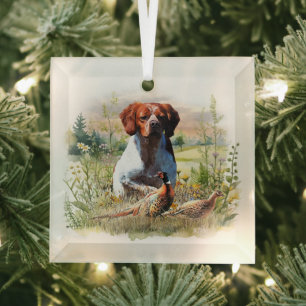 Brittany Spaniel – Field, Focus, Pheasant , Art Glass Ornament